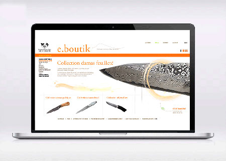site internet-homepage