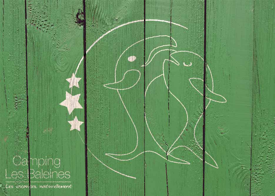 logo sur fond bois vert